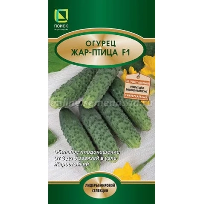 Семена огурца ЖАР-ПТИЦА F1 на зеленом фоне