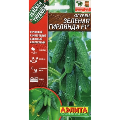 Пакет насіння огірка «Зелена Гірлянда F1» з зображенням зелених огірків