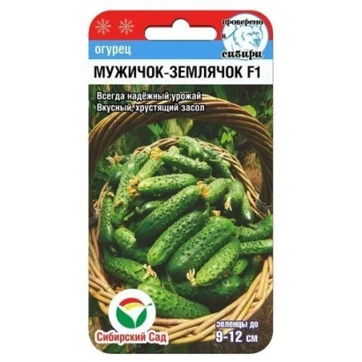 Seed packet of cucumber variety Zemlyachok F1 with fruit image