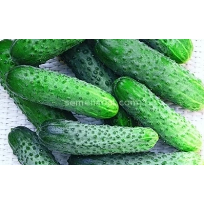 Свежие огурцы Жуковский