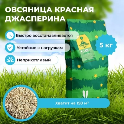 Пакет с овсяницей Джасперина на фоне травы