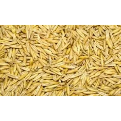 Овёс - Черниговский 27