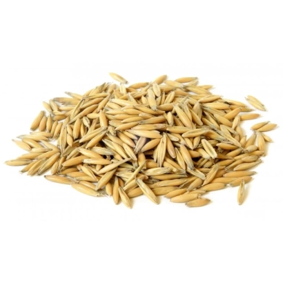 Pile of oats on white background - POKROVSKY 9