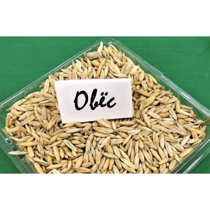 Пробирка с овсом, на которой написано Oblie - СИР 4