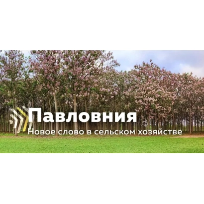 Русновация