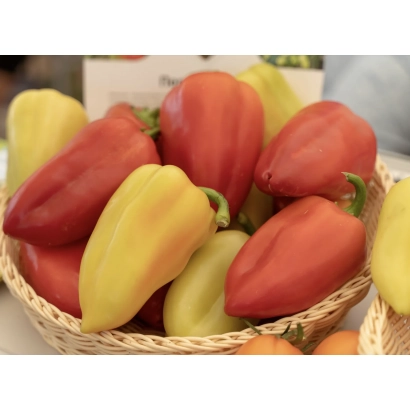 Корзина с красными и желтыми перцами Амиго