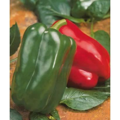 Зелений і червоний перець на дерев'яній поверхні - Аркано F1