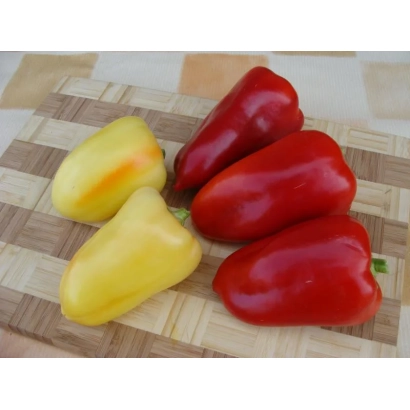 Red and yellow bell peppers on a wooden board - BEATRICE F1