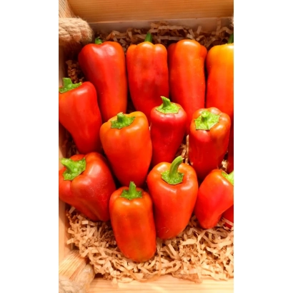 Красные перцы Буян в деревянном ящике