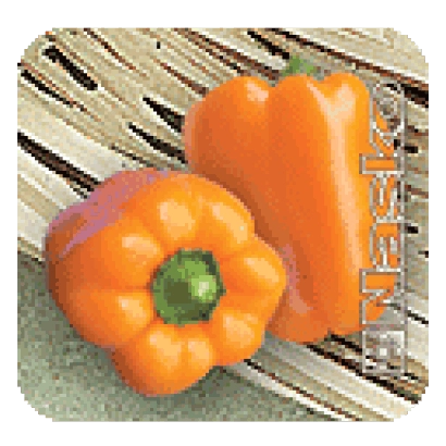 Семена перца ЭНЕЙ на фоне соломы