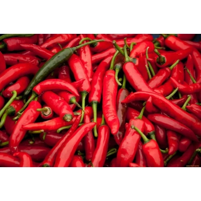 Куча красных перцев чили - ХАРАКИРИ
