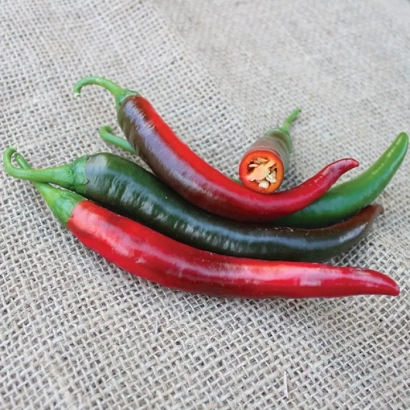 Красные и зеленые перцы на льняной ткани - Джафар