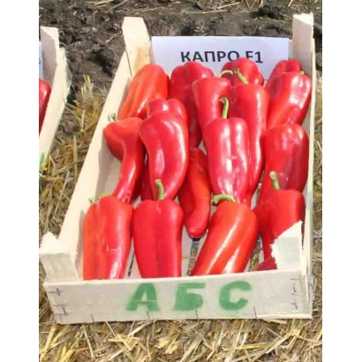 Красные перцы Капро F1 в деревянном ящике