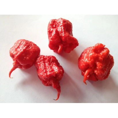 Красные перцы карпекс на белом фоне