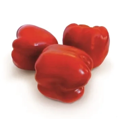 Три красных перца Катан на белом фоне