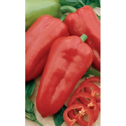 Красные перцы Кавалер на зелёном фоне