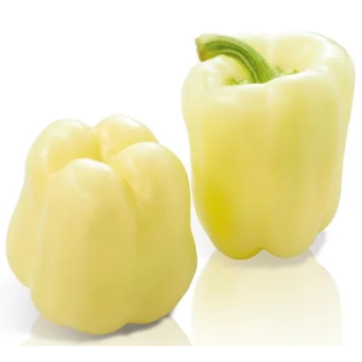 Два желтых перца КЕНТ F1 на белом фоне