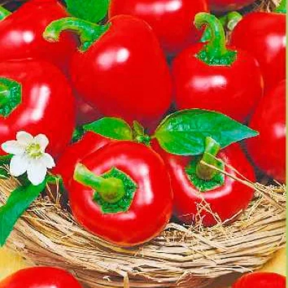 Красные перцы в корзине с белой цветком - КИТАЙСКИЙ ФОНАРИК