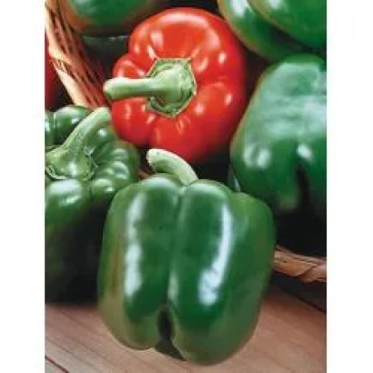 Красный и зелёный перец в корзине - Король Артур F1