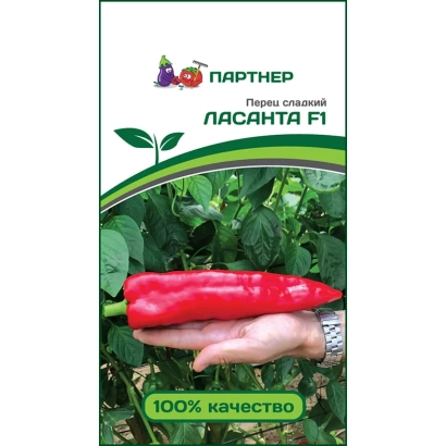 Семена перца острого ЛАСАНТА F1 на фоне зелёных листьев и красного перца в руке.