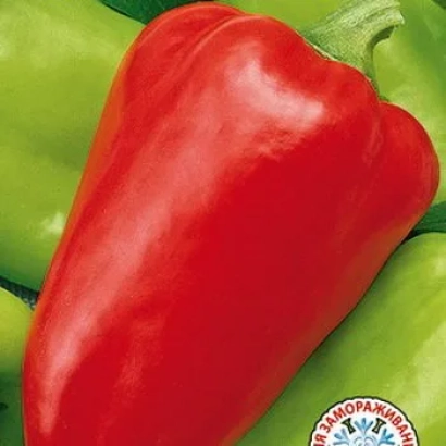 Красный перец на фоне зелёных перцев - Ласка