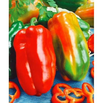 Красный и зеленый перец на синем фоне - Лидер