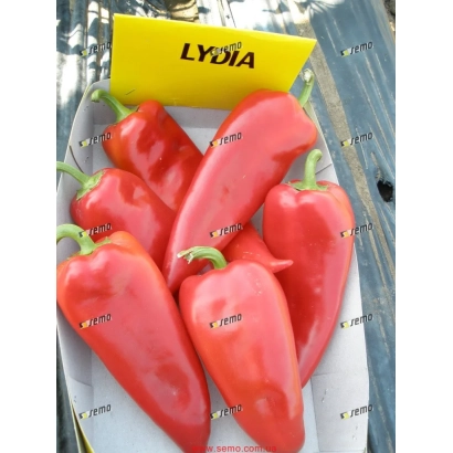 Красные перцы на упаковке с надписью LYDIA - Лидия