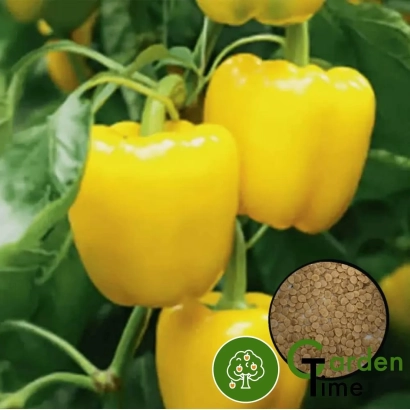 Желтый перец на растении с круглой вставкой семян и логотипом - ЛЮМОС