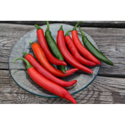 Красные и зелёные перцы на стеклянной тарелке - МАТА ХАРИ