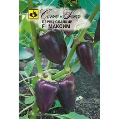 Seed packet of pepper F1 MAXIM on plant background - Maximalia F1