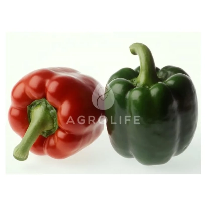 Красный и зеленый перец на белом фоне с логотипом AGROLIFE - Мазурка F1
