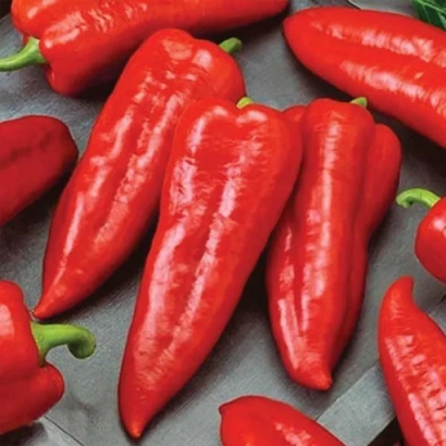 Красные перцы на сером фоне - Мерцедес