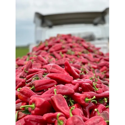 Куча красных перцев на фоне грузовика - Милан