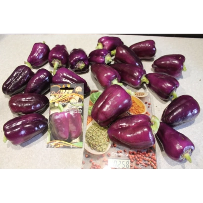 Свежие фиолетовые перцы и пакетик семян Мистик