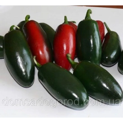 Свежие перцы мохава разных цветов на белом фоне - МОДЖАВЕ