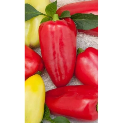 Красные и желтые перцы на белой ткани - Мраморный