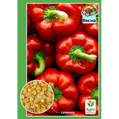 Red peppers with seed inset and Becha brand logo - Nadia