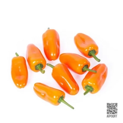 ORANGE TARTA — orange peppers on white background