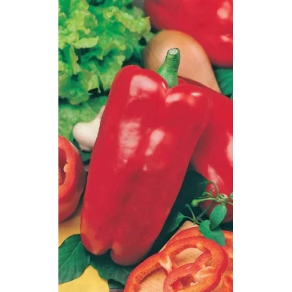 Красный перец на фоне зелени и других овощей - Орфей