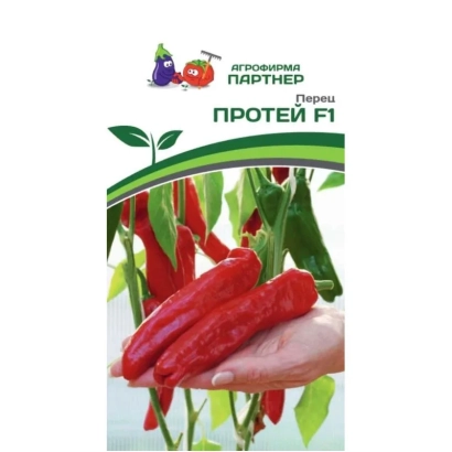 Насіння перцю ПРОТЕЙ F1 на долоні з рослиною на фоні