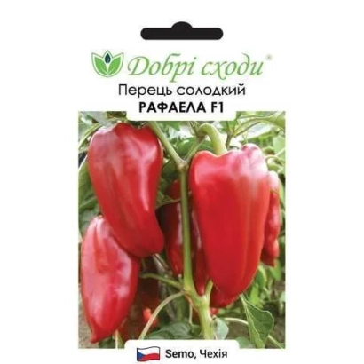 Пакет насіння перцю сорту Рафаела F1