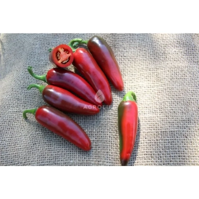 Красные перцы Рагнар на ткани