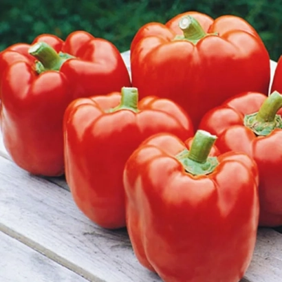 Красные перцы Красний Рицарь F1 на деревянной поверхности