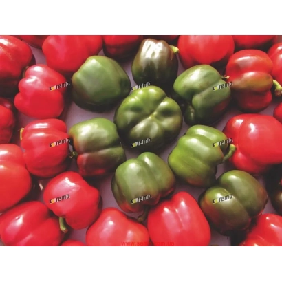 Красные и зеленые перцы Рубика F1