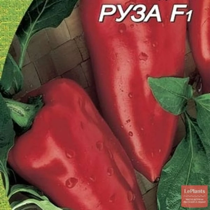 Красный перец РУЗА F1 на фоне листьев