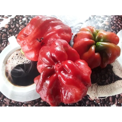 Красные перцы Шарпей на фоне семян и чашки кофе