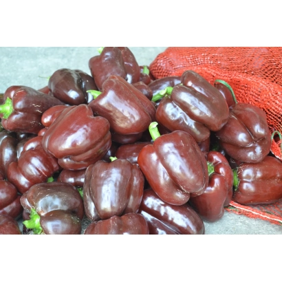 Red sweet peppers on a sack background - CHOCOLATE BULL