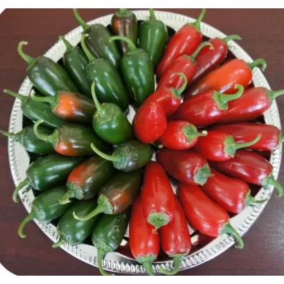 Red and green peppers of the SONORA variety on a plate