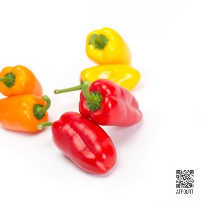 Красные, желтые и оранжевые перцы Триелло на белом фоне