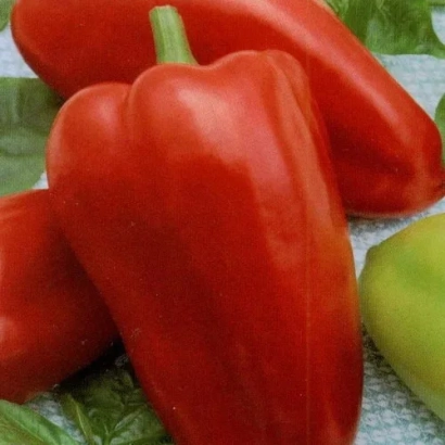 Красные и зеленые перцы на листьях - Уникум